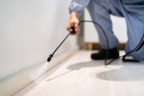 Bed Bug Pre-Treatment Preparation Assessment in Mayflower