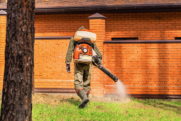Bed Bug Clearance Verification and Documentation in Mayflower